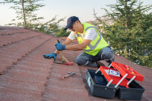 Best Flat Roof Repair Services  in Chantilly, VA